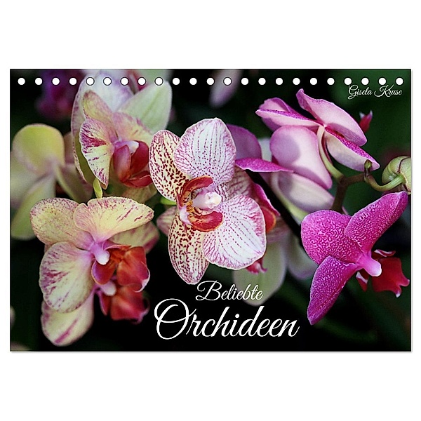 Beliebte Orchideen (Tischkalender 2025 DIN A5 quer), CALVENDO Monatskalender, Calvendo, Gisela Kruse