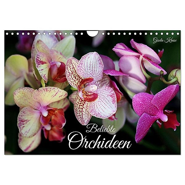 Beliebte Orchideen (Wandkalender 2025 DIN A4 quer), CALVENDO Monatskalender, Calvendo, Gisela Kruse