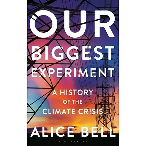 Bell, A: Our Biggest Experiment, Alice Bell