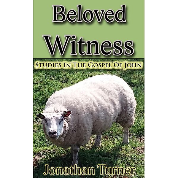 Beloved Witness: Studies In The Gospel Of John, Jonathan Turner