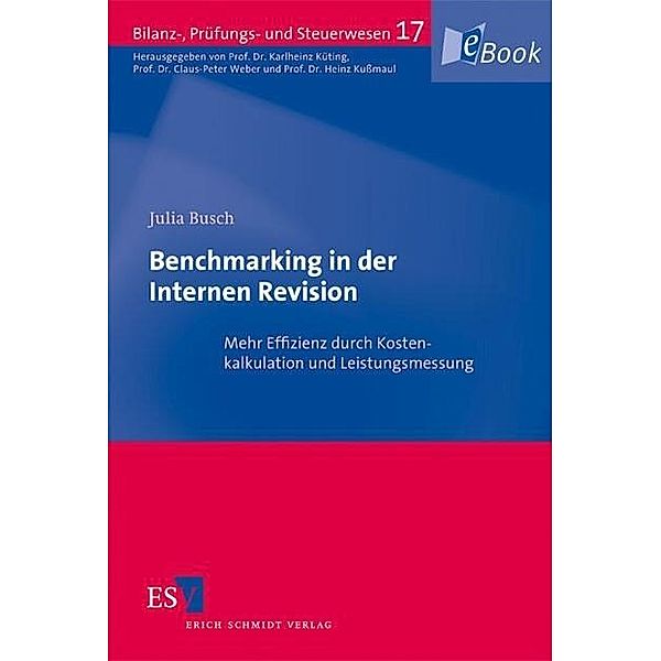 Benchmarking in der Internen Revision, Julia Busch