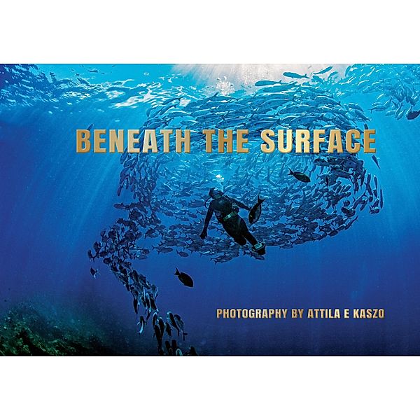 Beneath The Surface, Attila Kaszo