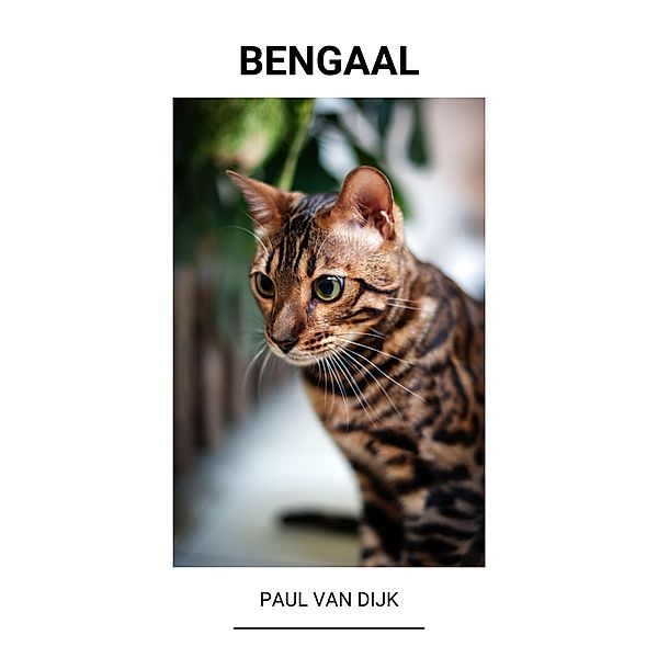 Bengaal, Paul van Dijk