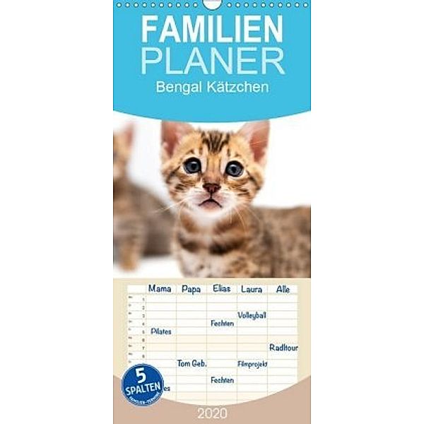 Bengal Kätzchen - Familienplaner hoch (Wandkalender 2020 , 21 cm x 45 cm, hoch), Sylke Enderlein - Bethari Bengals