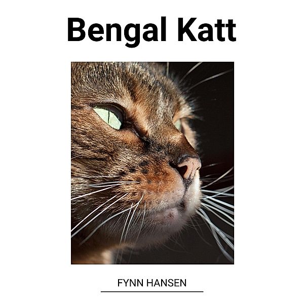 Bengal Katt, Fynn Hansen