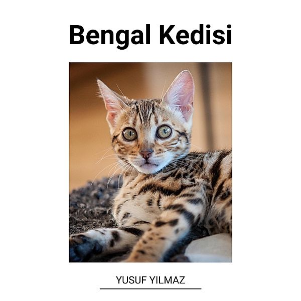 Bengal Kedisi, Yusuf Yilmaz