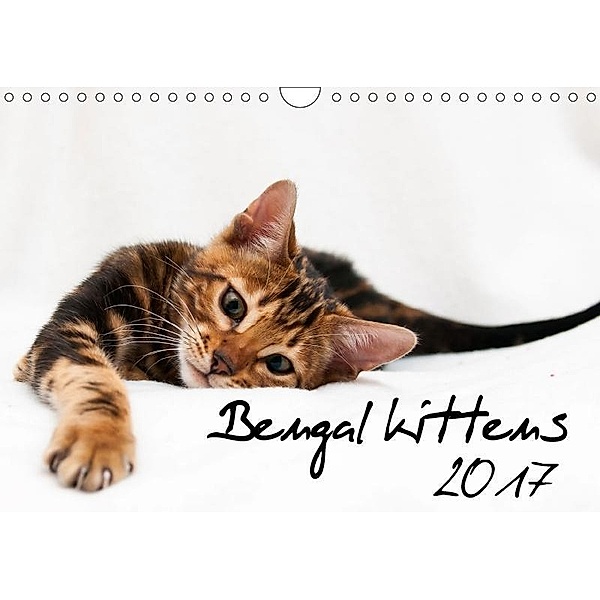 Bengal kittens 2017 (Wall Calendar 2017 DIN A4 Landscape), Sylke Enderlein - Bethari Bengals