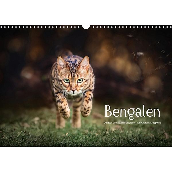 Bengalen Outdoor und Action (Wandkalender 2020 DIN A3 quer), Andreas Krappweis