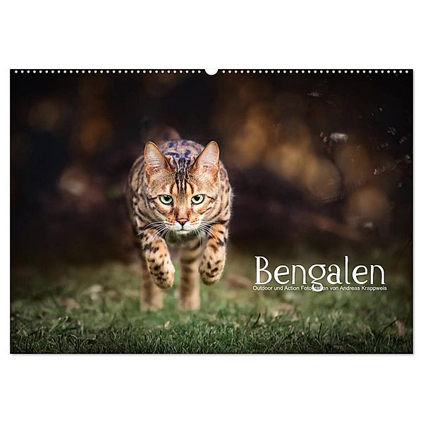 Bengalen Outdoor und Action (Wandkalender 2024 DIN A2 quer), CALVENDO Monatskalender, Andreas Krappweis