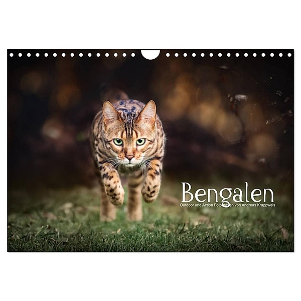Bengalen Outdoor und Action (Wandkalender 2024 DIN A4 quer), CALVENDO Monatskalender, Andreas Krappweis