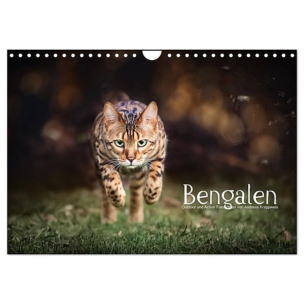 Bengalen Outdoor und Action (Wandkalender 2025 DIN A4 quer), CALVENDO Monatskalender, Calvendo, Andreas Krappweis