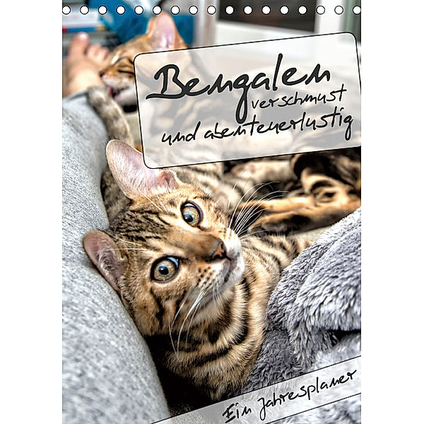 Bengalen - verschmust und abenteuerlustig (Tischkalender 2019 DIN A5 hoch), Samashy-Romy Schötz, Samashy