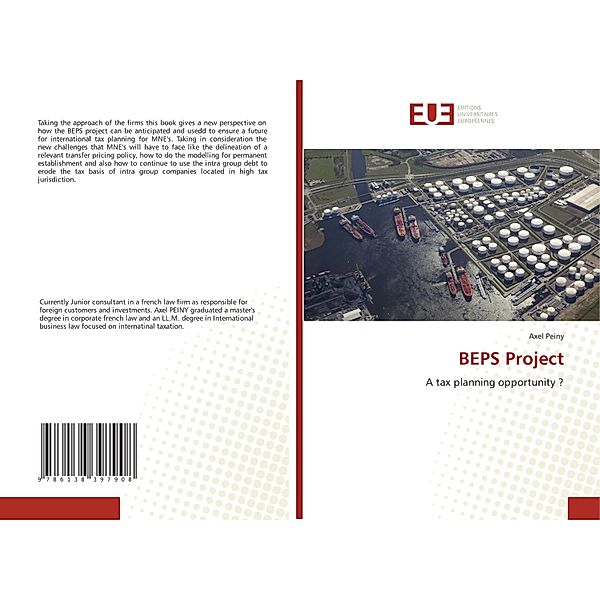 BEPS Project, Axel Peiny