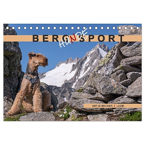 Berg-Hunde-Sport (Tischkalender 2024 DIN A5 quer), CALVENDO Monatskalender, Antje Becker