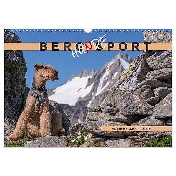 Berg-Hunde-Sport (Wandkalender 2024 DIN A3 quer), CALVENDO Monatskalender, Antje Becker