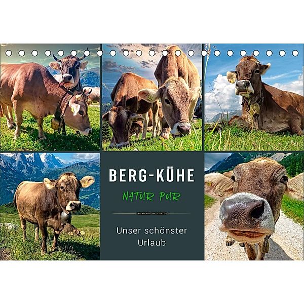 Berg-Kühe, Natur pur - unser schönster Urlaub (Tischkalender 2023 DIN A5 quer), Peter Roder