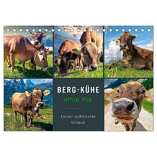 Berg-Kühe, Natur pur - unser schönster Urlaub (Tischkalender 2025 DIN A5 quer), CALVENDO Monatskalender, Calvendo, Peter Roder