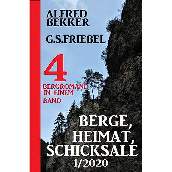 Berge, Heimat, Schicksale 1/2020 - 4 Bergromane in einem Band, Alfred Bekker, G. S. Friebel