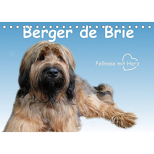 Berger de Brie - Fellnase mit Herz (Tischkalender 2023 DIN A5 quer), Sonja Teßen