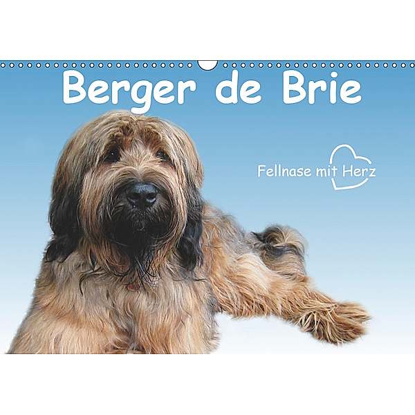 Berger de Brie - Fellnase mit Herz (Wandkalender 2019 DIN A3 quer), Sonja Tessen