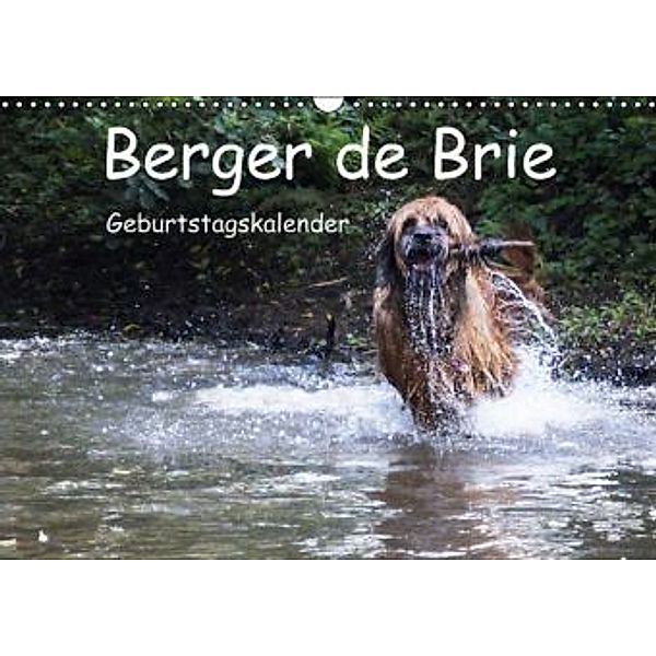 Berger de Brie / Geburtstagskalender (Wandkalender immerwährend DIN A3 quer), Sonja Teßen