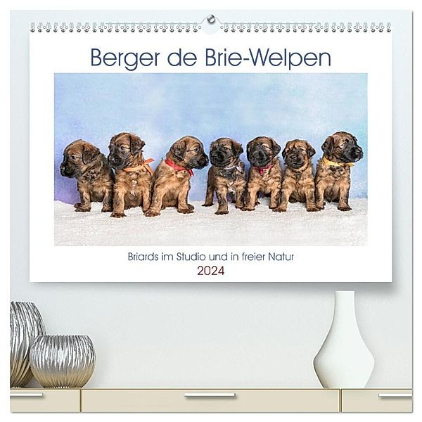 Berger de Brie - Welpen (hochwertiger Premium Wandkalender 2024 DIN A2 quer), Kunstdruck in Hochglanz, Sonja Teßen