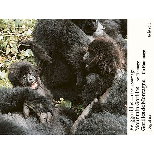Berggorillas / Gorilles de montagne / Mountain Gorillas, Jörg Hess