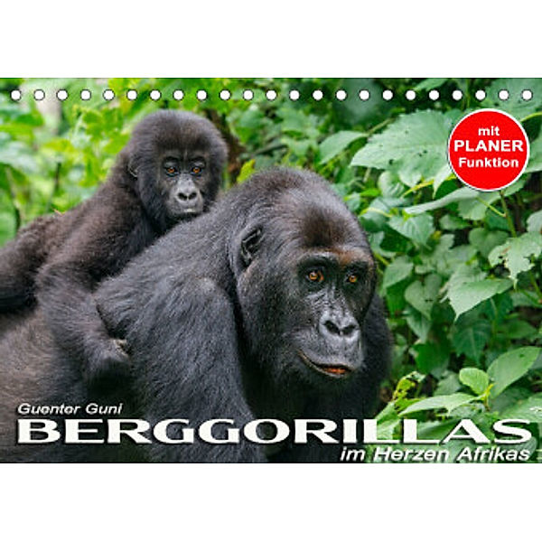Berggorillas im Herzen Afrikas (Tischkalender 2022 DIN A5 quer), Guenter Guni