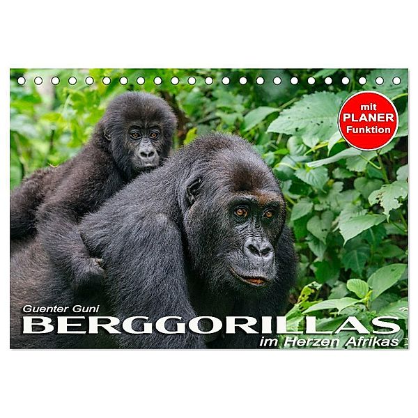 Berggorillas im Herzen Afrikas (Tischkalender 2024 DIN A5 quer), CALVENDO Monatskalender, Guenter Guni