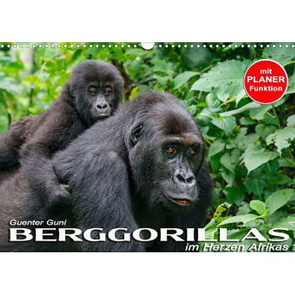 Berggorillas im Herzen Afrikas (Wandkalender 2022 DIN A3 quer), Guenter Guni