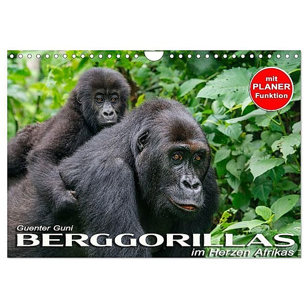 Berggorillas im Herzen Afrikas (Wandkalender 2024 DIN A4 quer), CALVENDO Monatskalender, Guenter Guni