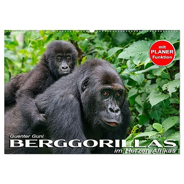Berggorillas im Herzen Afrikas (Wandkalender 2025 DIN A2 quer), CALVENDO Monatskalender, Calvendo, Guenter Guni