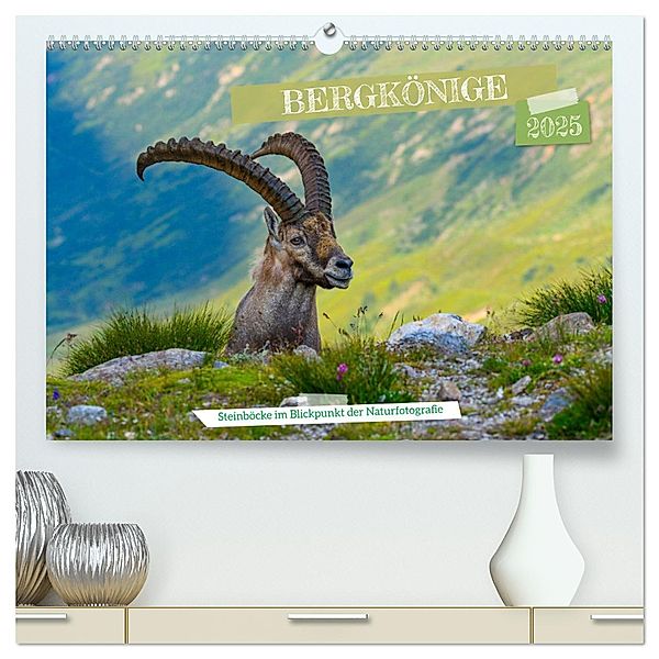 Bergkönige - Steinböcke im Blickpunkt der Naturforografie (hochwertiger Premium Wandkalender 2025 DIN A2 quer), Kunstdruck in Hochglanz, Calvendo, Renaldo Caumont