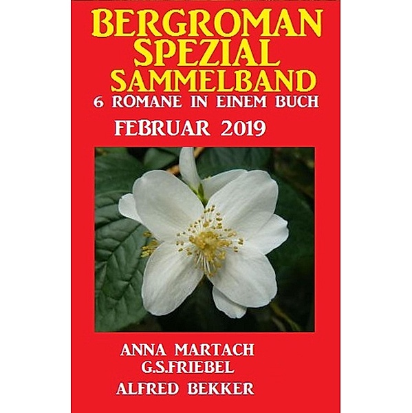 Bergroman Spezial Sammelband 6 Romane Februar 2019, Alfred Bekker, G. S. Friebel, Anna Martach