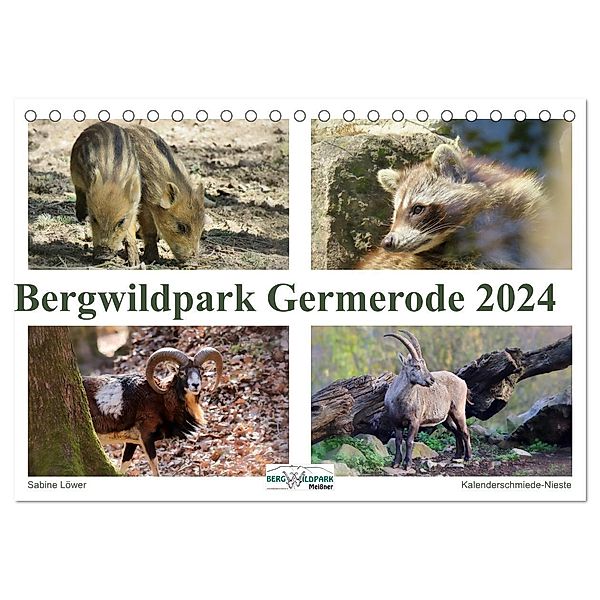 Bergwildpark Germerode (Tischkalender 2024 DIN A5 quer), CALVENDO Monatskalender, Sabine Löwer