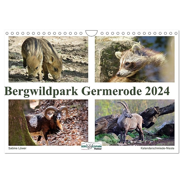 Bergwildpark Germerode (Wandkalender 2024 DIN A4 quer), CALVENDO Monatskalender, Sabine Löwer