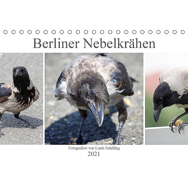 Berliner Nebelkrähen (Tischkalender 2021 DIN A5 quer), Linda Schilling