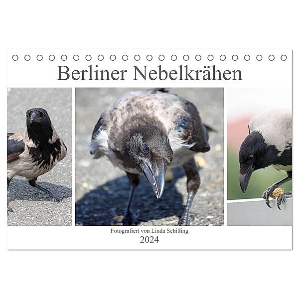 Berliner Nebelkrähen (Tischkalender 2024 DIN A5 quer), CALVENDO Monatskalender, Linda und Michael Schilling