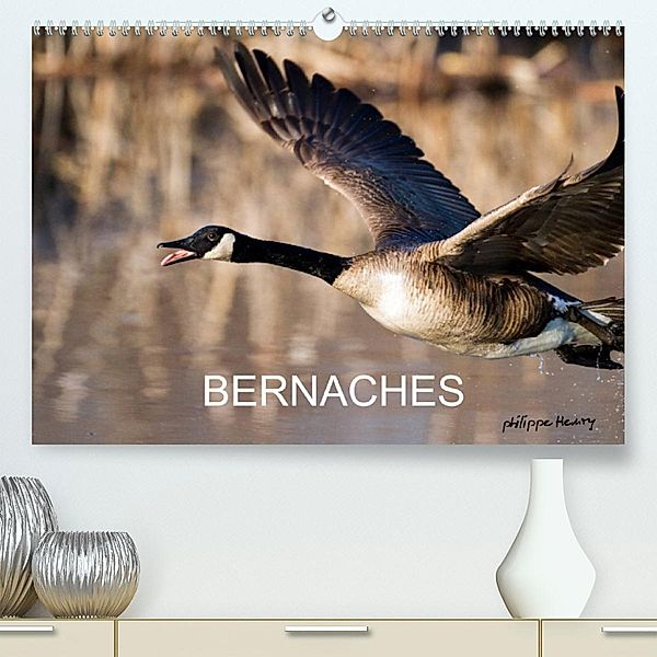 BERNACHES (Premium, hochwertiger DIN A2 Wandkalender 2023, Kunstdruck in Hochglanz), Philippe Henry