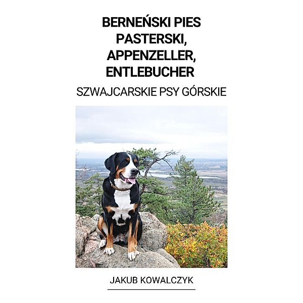 Bernenski Pies Pasterski, Appenzeller, Entlebucher (Szwajcarskie Psy Górskie), Jakub Kowalczyk