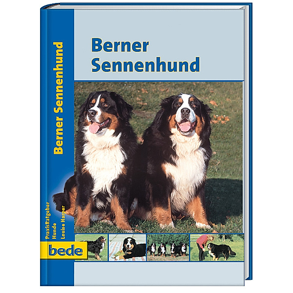 Berner Sennenhund, Louise Harper