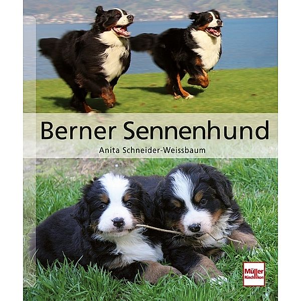 Berner Sennenhund, Anita Schneider-Weissbaum