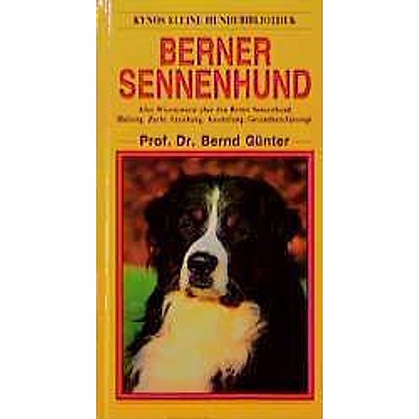 Berner Sennenhund, Bernd Günter