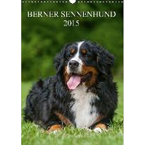 Berner Sennenhund 2015 (Wandkalender 2015 DIN A3 hoch), Sigrid Starick