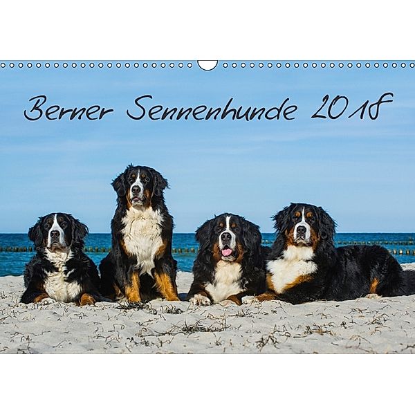 Berner Sennenhund 2018 (Wandkalender 2018 DIN A3 quer), Sigrid Starick