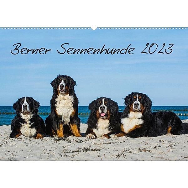 Berner Sennenhund 2023 (Wandkalender 2023 DIN A2 quer), Sigrid Starick