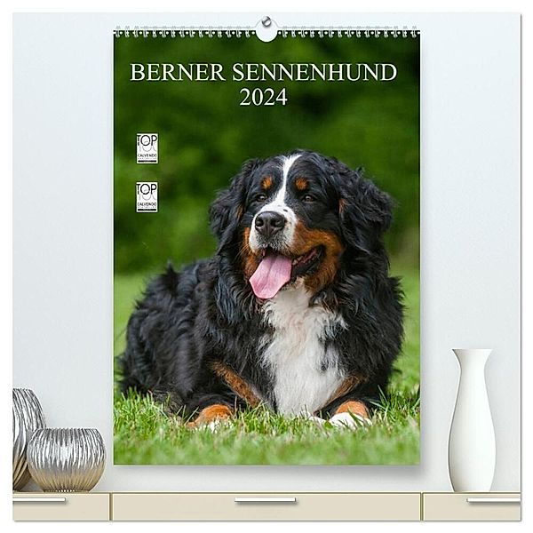 Berner Sennenhund 2024 (hochwertiger Premium Wandkalender 2024 DIN A2 hoch), Kunstdruck in Hochglanz, Sigrid Starick