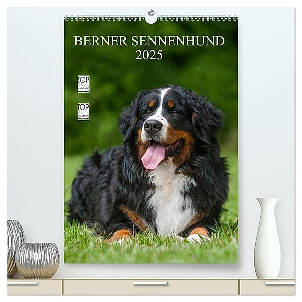 Berner Sennenhund 2025 (hochwertiger Premium Wandkalender 2025 DIN A2 hoch), Kunstdruck in Hochglanz, Calvendo, Sigrid Starick