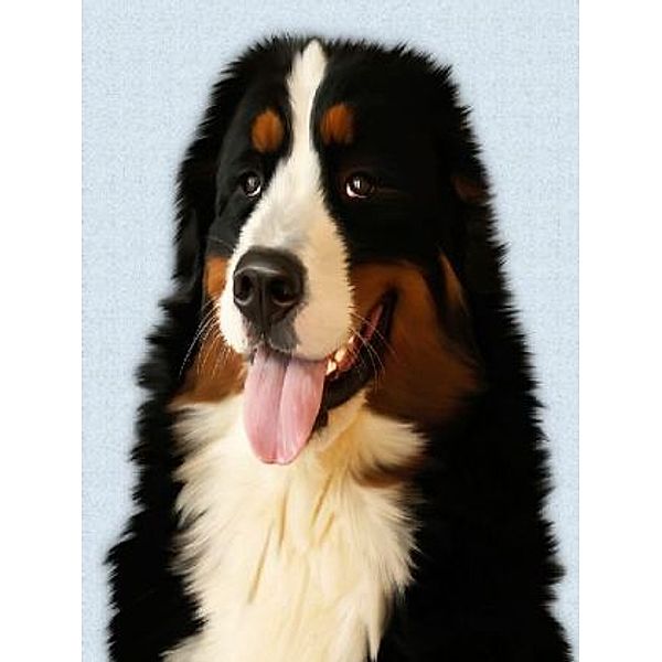 Berner Sennenhund - 500 Teile (Puzzle)