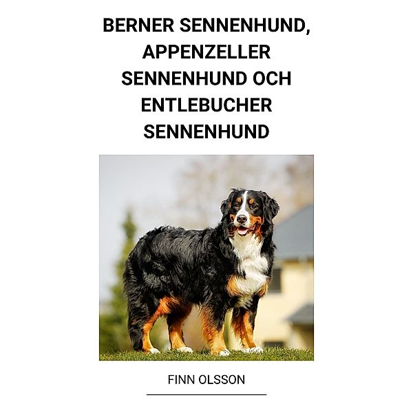 Berner Sennenhund, Appenzeller Sennenhund och Entlebucher Sennenhund, Finn Olsson